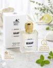 AL-SHAHAB Kaaf Perfume 50ml | Soft Fresh Mentholic Long Lasting Fragrance | Eau de Parfum for Men & Women | High Concentration (Approx. 50% Perfume Oil)